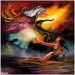 thumb_1572 (Medium).jpg